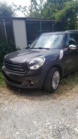Mini countryman