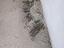 Immagine 19