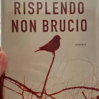 Risplendo non brucio di Ilaria Tuti libro