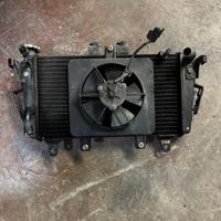 Triumph tiger 1050 radiatore ricambi