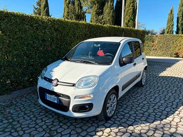 FIAT Panda 0.9Turbo S&S 4x4 Eld Pop N1-Van - 2019