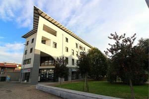 FELETTO - Tricamere in Piazza Indipendenza