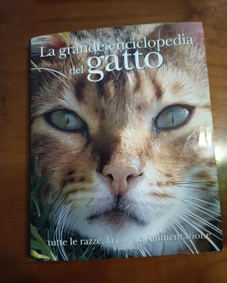 la grande enciclopedia del gatto