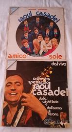 lotto 2 vinili LP33 Giri Raoul Casadei 