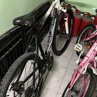 lombrardo sestiere 300 mtb ruota 26
