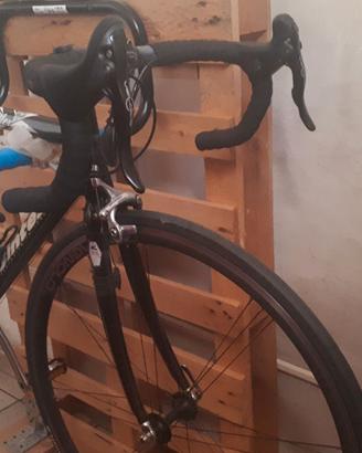 Bici da corsa Sintesi meccanica Campagnolo