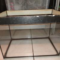 Acquario 50 litri