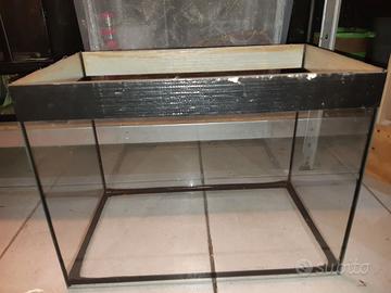 Acquario 50 litri