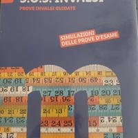SOS invalsi matematica 