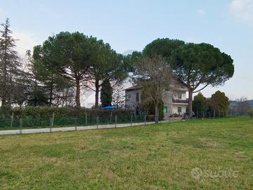 Indipendente a Rimini