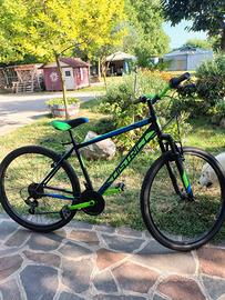 Bicicletta