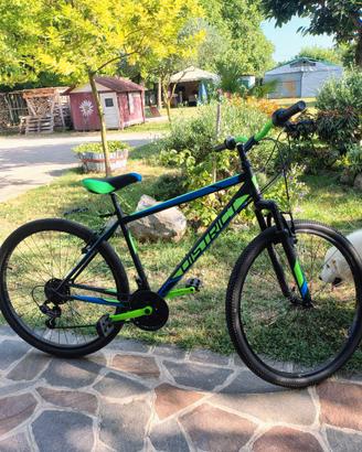 Bicicletta