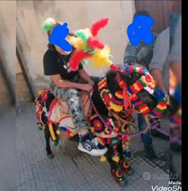 Armice per poni