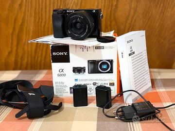 Sony Alpha 6000 + 16-50mm OSS kit lens