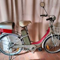 Bicicletta elettrica
