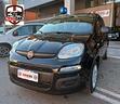 fiat-panda-1-0-firefly-s-s-hybrid-pandina-km-zero