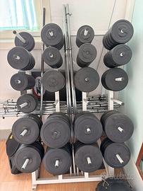 Rastrelliera, dischi in plastica e bioanceri