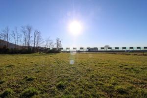 TER. AGRICOLO A ADRO