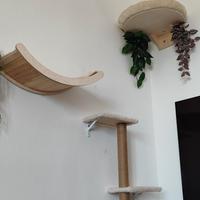 tiragraffi da muro