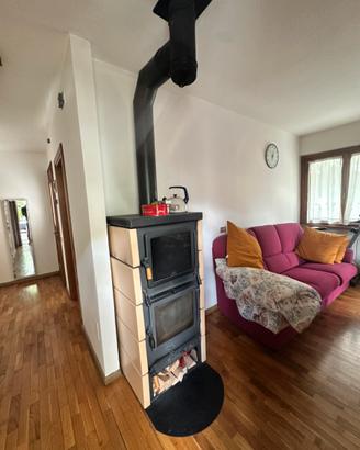 Stufa a legna con forno