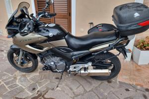 YAMAHA TDM 900 2005 TWIN