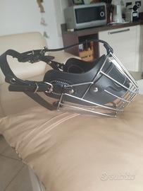 museruola per cani di grossa taglia