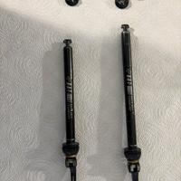 Coppia perni R.A.T.  per Focus Izalco Max