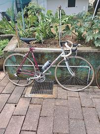 Biciclette da corsa e non