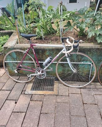 Biciclette da corsa e non