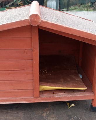 cuccia per cani