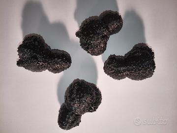 addestramento cani da tartufo kit da 4 pezzi 