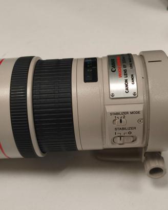 Canon EF 300mm 1:4 L IS