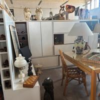 Parete libreria in legno