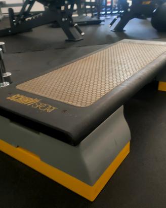 Step Professionale