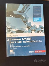 Il nuovo Amaldi per i licei scientifici blu vol 2