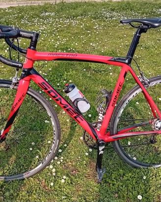 bici somec maestro carbonio