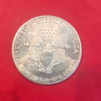 1 dollaro d'argento