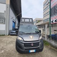 FIAT DUCATO MAXI CASSONATO  2.3 MTJ 131CV DIESEL