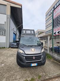 FIAT DUCATO MAXI CASSONATO  2.3 MTJ 131CV DIESEL