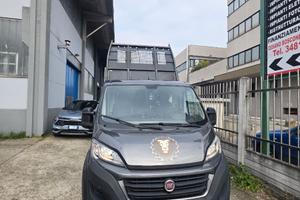 FIAT DUCATO MAXI CASSONATO  2.3 MTJ 131CV DIESEL