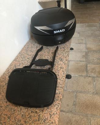 BAULETTO E STAFFA MARCA SHAD