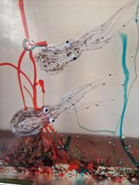 Acquario in vetro di Murano 