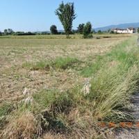 Terreno agricolo Prato Ovest / Casale