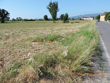 Terreno agricolo Prato Ovest / Casale