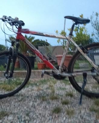 MTB per Ragazzo
