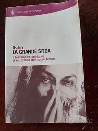 La grande sfida 