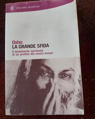 La grande sfida 