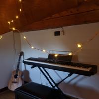 Casio Privia PX-S1000