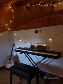 Casio Privia PX-S1000