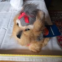 Splendidi peluche TRUDI Cagnolini vari